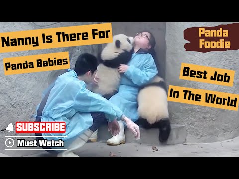 Nannies Are Always There For You, Sweethearts | iPanda