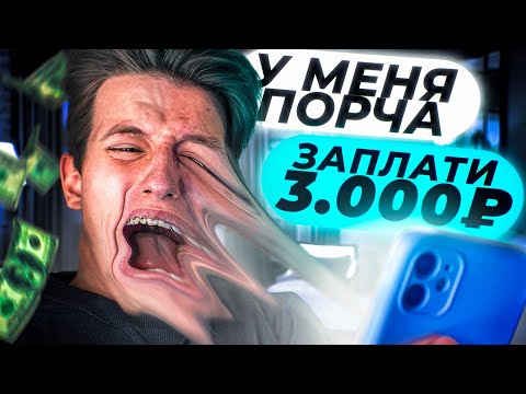 СНИМАЮ ПОРЧУ на Авито