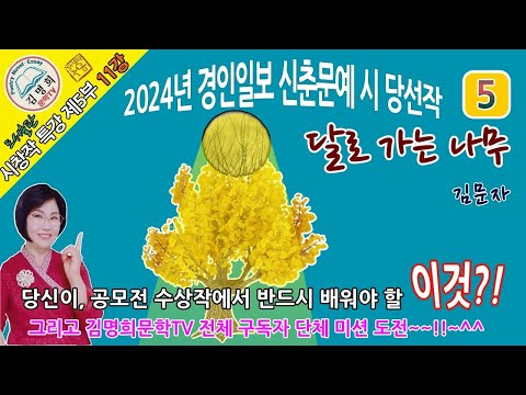 시창작특강 제5부 11강 2024년 경인일보 신춘문예 시 당선작 분석 및 해설 [달로 가는 나무, 김문자],시쓰기, 시작법, 시창작,시창작교실,시인되기,시강의,시창작강의,신춘문예,
