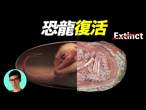 1.3萬年前滅絕的「恐狼」被復活，恐龍復活？基因編輯？人類是否打開了潘多拉盒子？「曉涵哥來了」