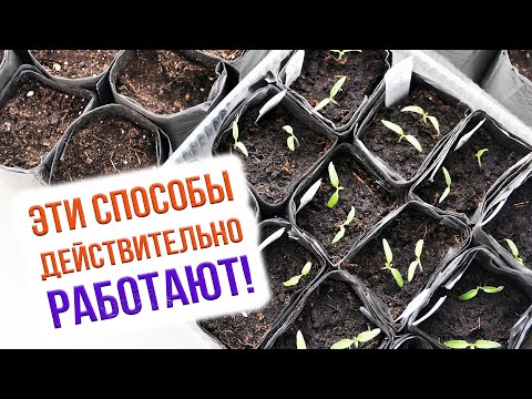 Disinfecting Soil for Seedlings – Choosing the Best Methods. How to Prepare Soil for Seedlings?