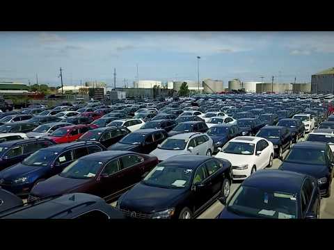 Dieselgate: Exposing the Deadly Cover-Up