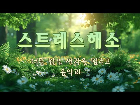 너무 많은 생각을 멈추고 음악과 함께 불안과 스트레스를 날려버리세요🎵 힐링음악, 치유명상음악, 아침음악, 수면에도 사용 가능