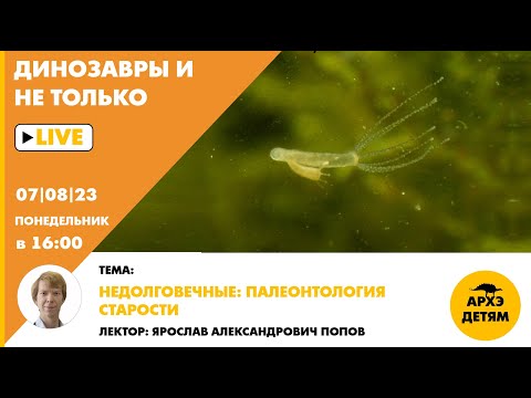 Занятие "Недолговечные: палеонтология старости" кружка "Динозавры и не только" с Ярославом Поповым
