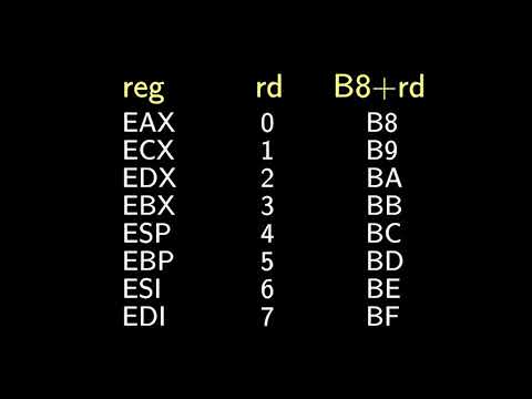 2 Handmade Linux x86 executables: Hello, world