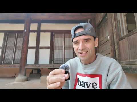 Корейский для туристов. Часть 1. В самолёте 1.