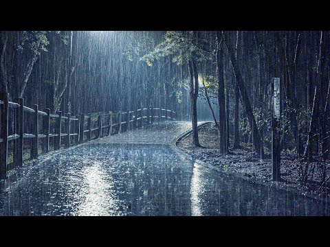 Most Effective Rain ASMR for Insomnia | 8 Hours Deep Sleep Guaranteed, Tinnitus Relief, Heavy Rain