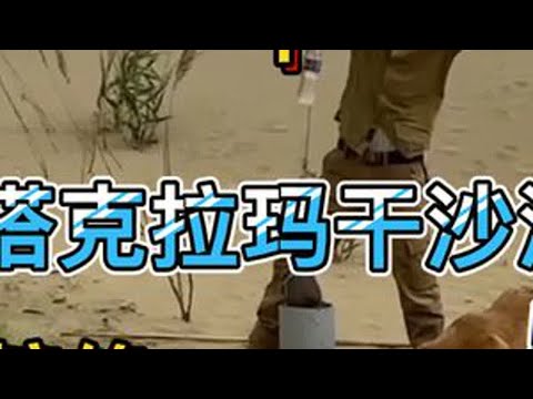 塔克拉玛干沙漠，50多度，弹尽粮绝，神秘古井，绝处逢生， #沙漠之旅 #沙漠越野 #沙坡头 #一人一车一狗，浪迹天涯丽云