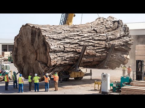 Inside the Wood Factory – How Luxury Wooden Flooring Is Made From Raw Logs (Full Process)