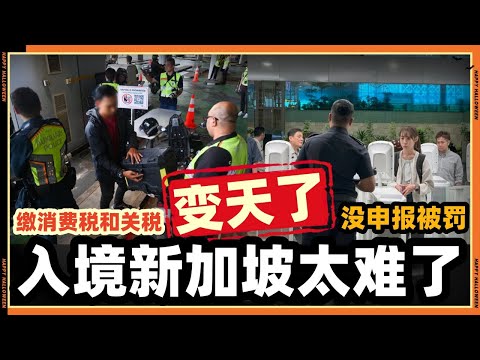 新加坡真的变天了？2026年外国人入境难度飙升!!