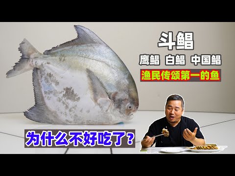 鹰鲳斗鲳白鲳鱼，沿海传颂的天花板级海鲜，聊聊它不好吃的原因