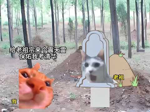 猫meme的日常-没体验过父母混合双打的可以试试 #猫meme #猫meme小剧场 #猫meme剧场 #内容过于真实 #搞笑