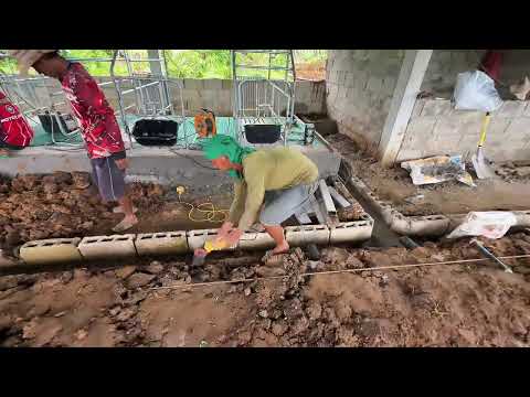 Backfilling of Gestating Pen & Central Canal Flooring Completed! 🚜🐖