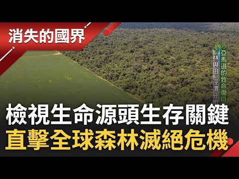 直擊全球森林之死! 森林成人類生存關鍵 更是抵禦災難性氣候變遷最後防線 生態圈系統性失調釀林地生存挑戰 重回森林源頭審視人與土地關係 │李文儀主持│【消失的國界完整版】20230617│三立新聞台