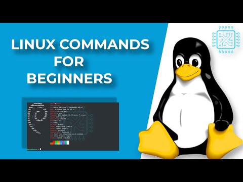 Linux Commands for Beginners 