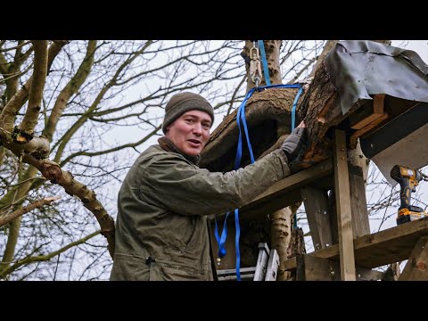 I Built Nest Boxes For Birds And Watched As They Moved In | Wildlife Conservation | Robert E Fuller