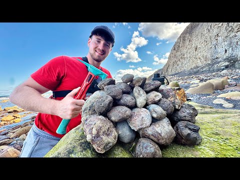 TOP Fossil Hunting Shorts! 🐚 | 30+ Min Compilation of Epic Finds