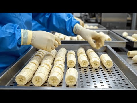 How Fresh Bananas Are Turned Into Dried Snacks | Full Factory Process