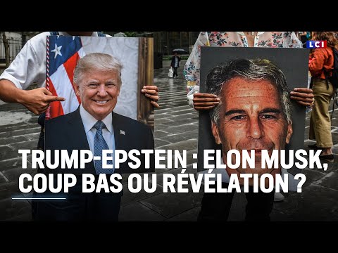 Accusations d'Elon Musk : que sait-on des liens entre Donald Trump et l'affaire Epstein ?｜LCI