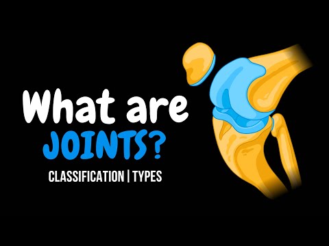 What Are Joints? Function, Types & Classification | Clinical Anatomy