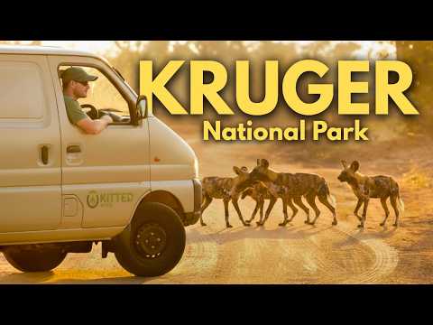 I Went to the Kruger National Park in a Fully-Kitted Panel Van!