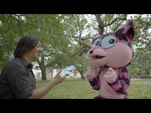 Dribbles is having fun with music