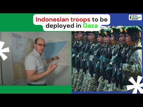 Indonesia to send 8,000 soldiers to Gaza: What does this mean?