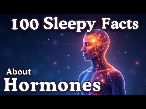 The Most Relaxing Facts About Hormones to Fall Asleep To