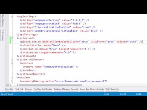 ASP.NET MVC Multi idioma | Validando Modelos | Programando en ASP.NET MVC 5