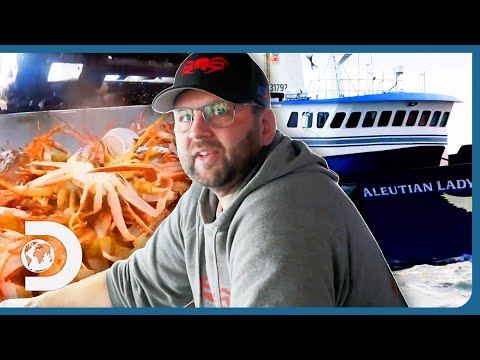 Deckhands Fired, Insults, Injuries & More Aleutian Lady Moments! | Deadliest Catch