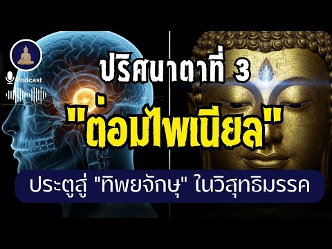 ไขปริศนาต่อมไพเนียล คือประตูสู่ "ทิพยจักษุ" ตามคัมภีร์โบราณ ? I #นะโมพุทธายะ