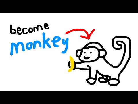 Which Monkey are YOU?