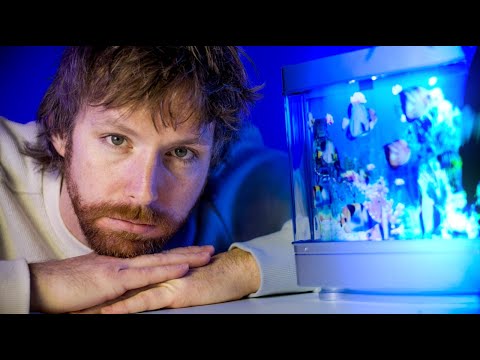 Frutiger Aero and the Lost Future of the 2000's