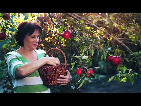 Wolga - Алтай. Фильм о депортации российских немцев