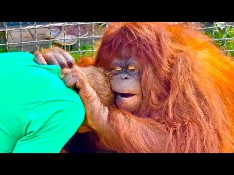 КАКАЯ РАДОСТЬ у Даны! Олег Зубков приехал в гости к Дане после долгой поездки в Китай!