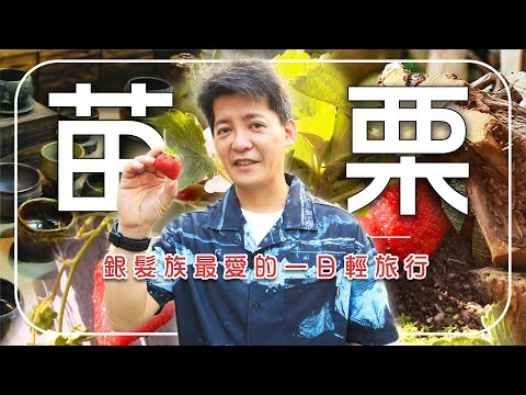 A Light Getaway for Seniors[Miaoli, Taiwan Day Trip]