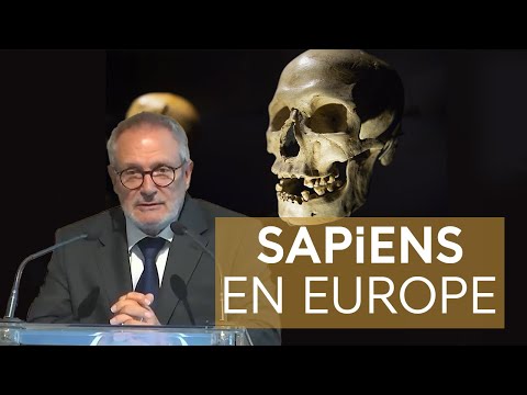Homo sapiens en Europe il y a 46 000 ans