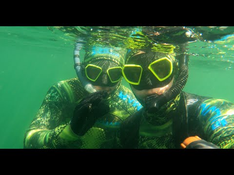 First Time Spearfishing, Where to Start! We Encountered a Huge Carp! Training - Spearfishing