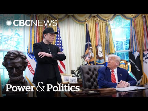 Why is Trump sparring with Elon Musk online? | Power & Politics