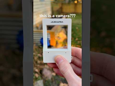 Wait... This Is a Real Camera? (Escura Instant Snap)