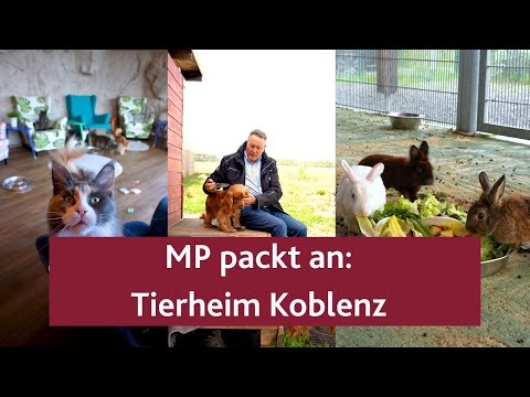 MP packt an: Tierheim Koblenz (Langfassung)