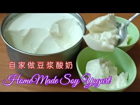 Home made Soy Yogurt 自家做豆浆酸奶