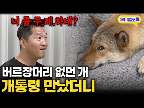 A stubborn dog that ignored its owner - But the moment it met the Dog President, everything changed.