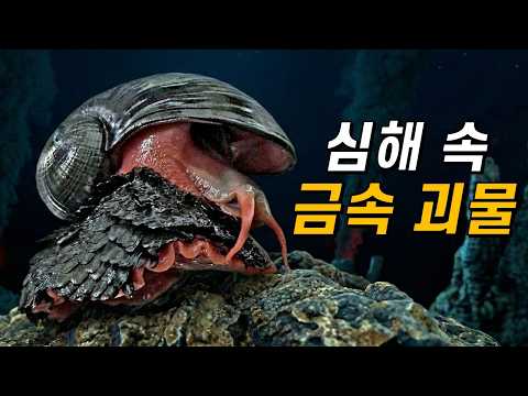 극한 생존, 해저 화산에 사는 방3업 달팽이이야기! (ft.비늘발달팽이)