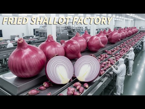Inside a Fried Shallot Factory | Full Production Process (ASMR)