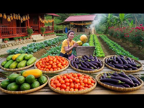 Harvest Papaya, Eggplant to sell at market - Cooking, raising animals