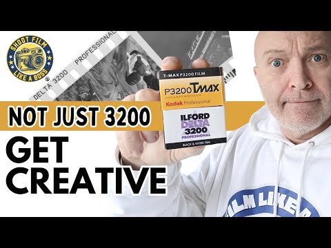 3200 Film is so useful! Not just for LOW LIGHT photography.