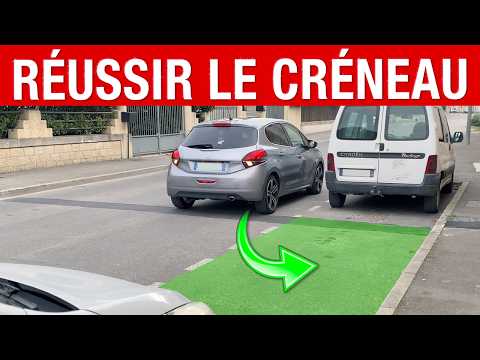 How to Succeed in a Niche Every Time?