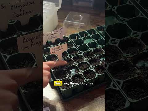 We are starting a ton of seeds this weekend!