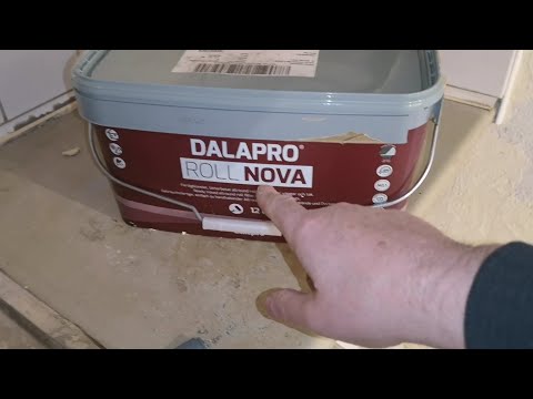 Dalapro Roll Nova Review
